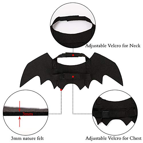 Halloween's Bat Wings Costume Accessory for Cats and Small Dogs