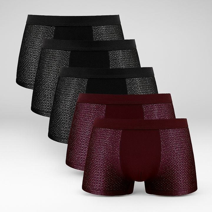 Men's Breathable Mesh Boxer Shorts 5-Pack SET D