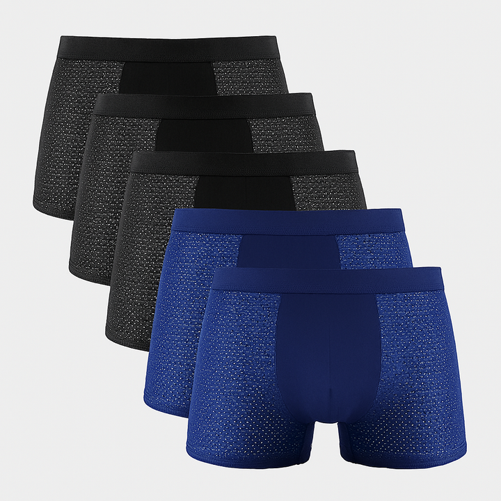 Men's Breathable Mesh Boxer Shorts 5-Pack SET C