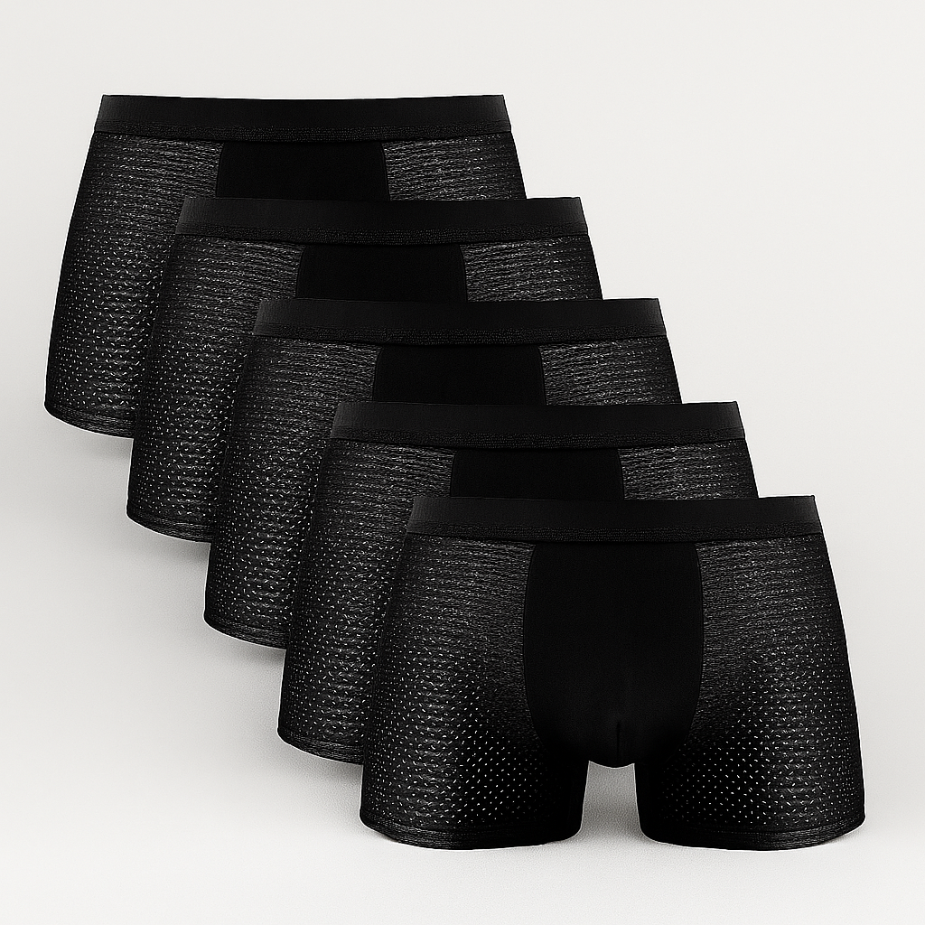Men's Breathable Mesh Boxer Shorts 5-Pack SET A