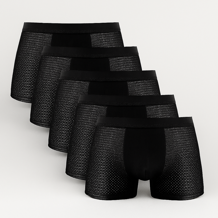Men's Breathable Mesh Boxer Shorts 5-Pack SET A