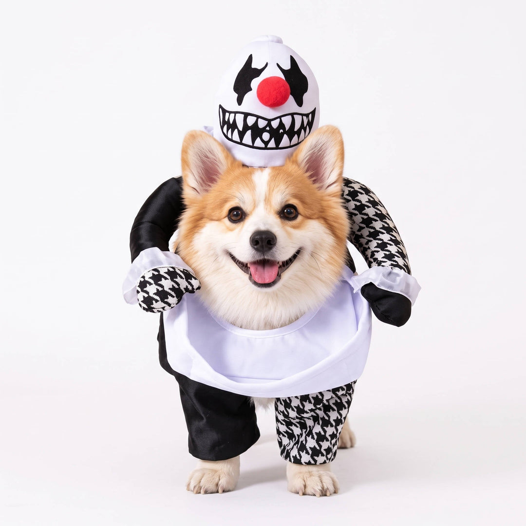 Halloween's Creepy Dog Costume with Padded Arms for Trick or Treating Design#1