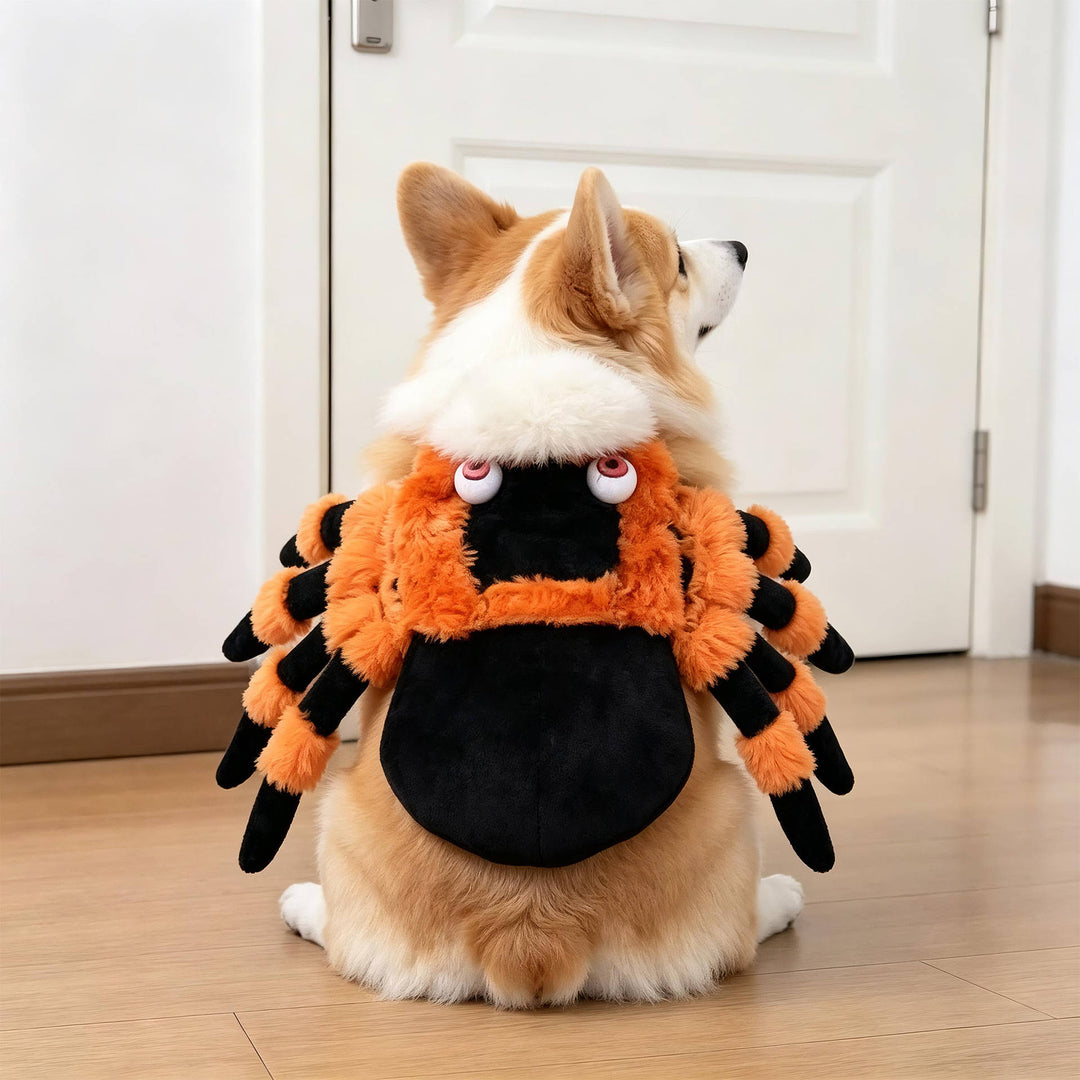 Halloween's Creepy Dog Costume with Padded Arms for Trick or Treating Design#14