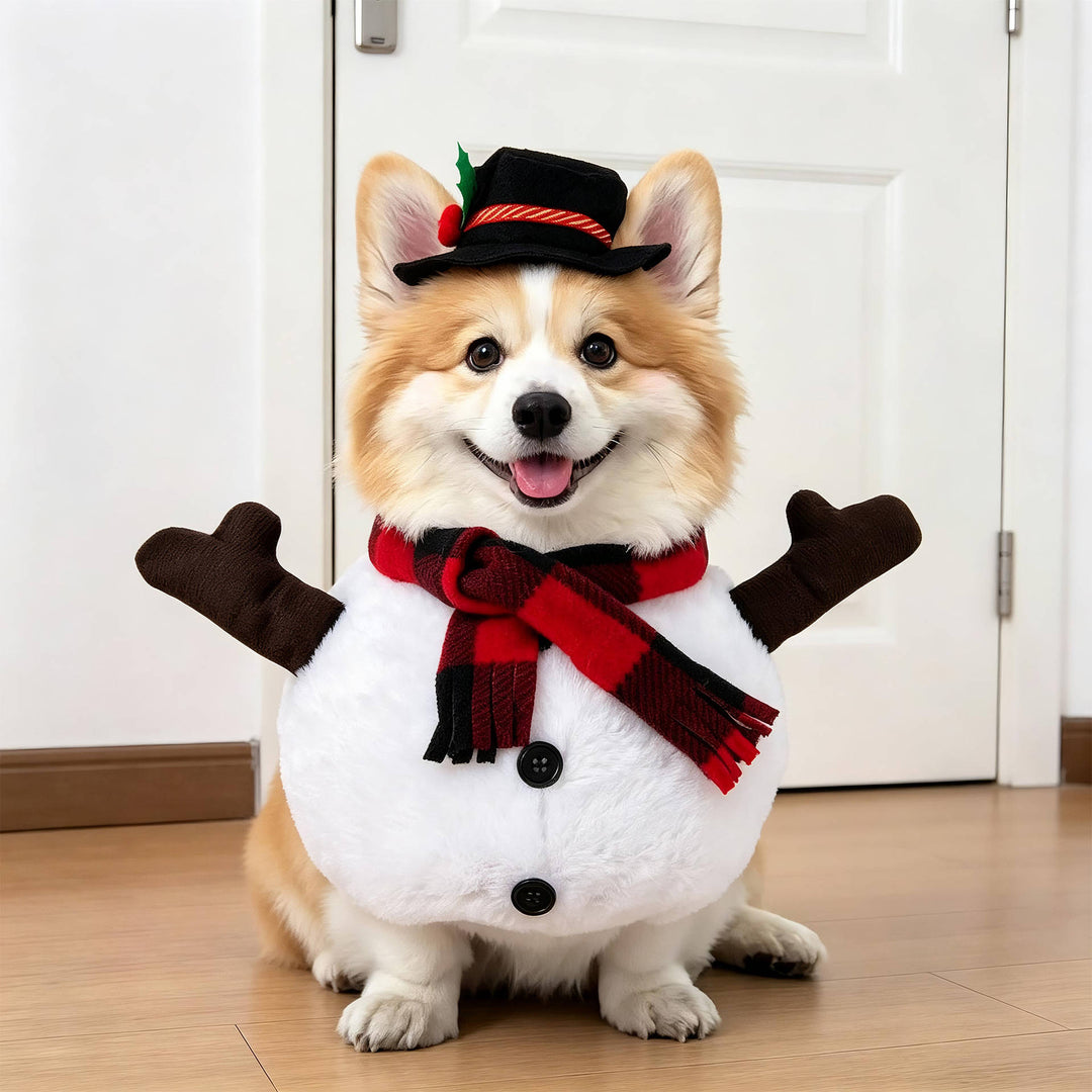 Halloween's Creepy Dog Costume with Padded Arms for Trick or Treating Design#17