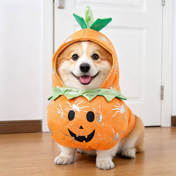 Halloween's Creepy Dog Costume with Padded Arms for Trick or Treating Design#24