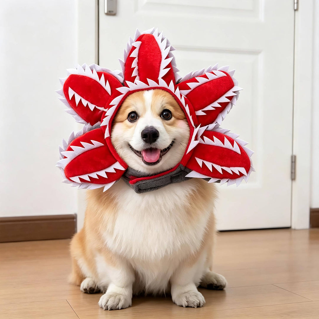 Halloween's Creepy Dog Costume with Padded Arms for Trick or Treating Design#5