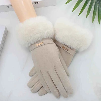 Velvet Gloves Regular Fit Purple Winter Khaki