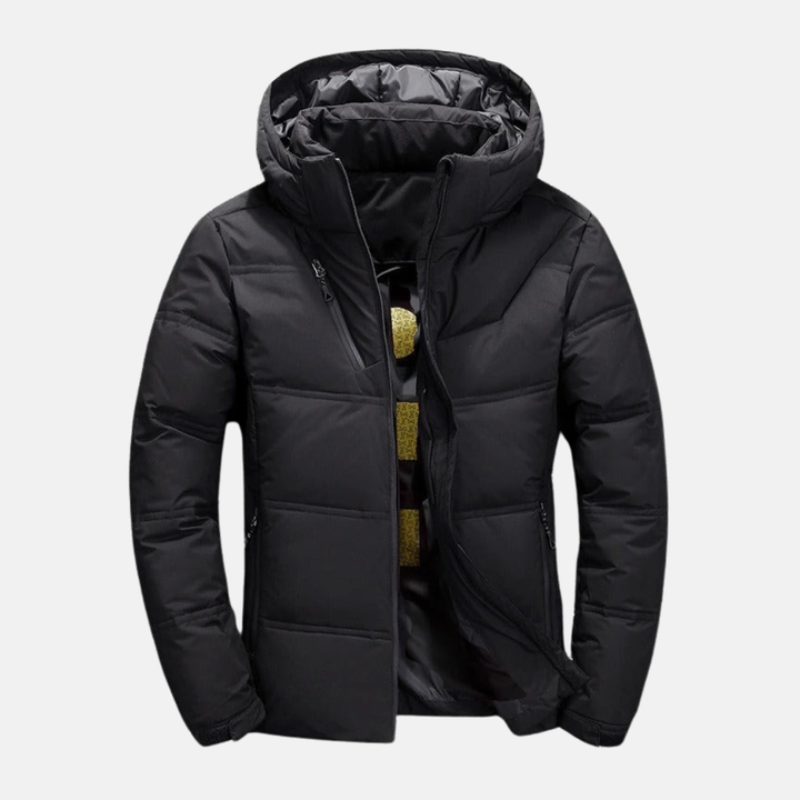 Men's Hooded Down Jacket – Regular Fit – Lined – Full Zip – Pockets Black