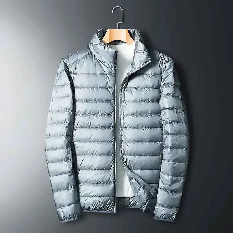Men's Water-Repellent Down Jacket – Padded, Regular Fit, Hip-Length, Zipper Closure Grey