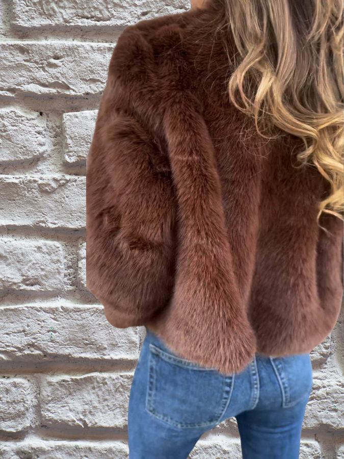 Women's Faux Fur Coat Regular Pockets Brown Winter Button Closure